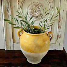 Antique confit pot (2)