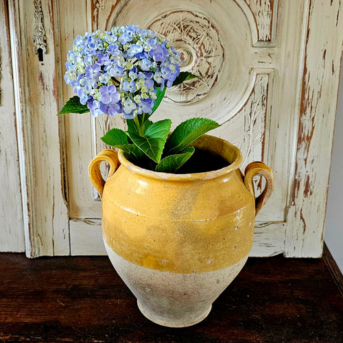 Antique confit pot (2)