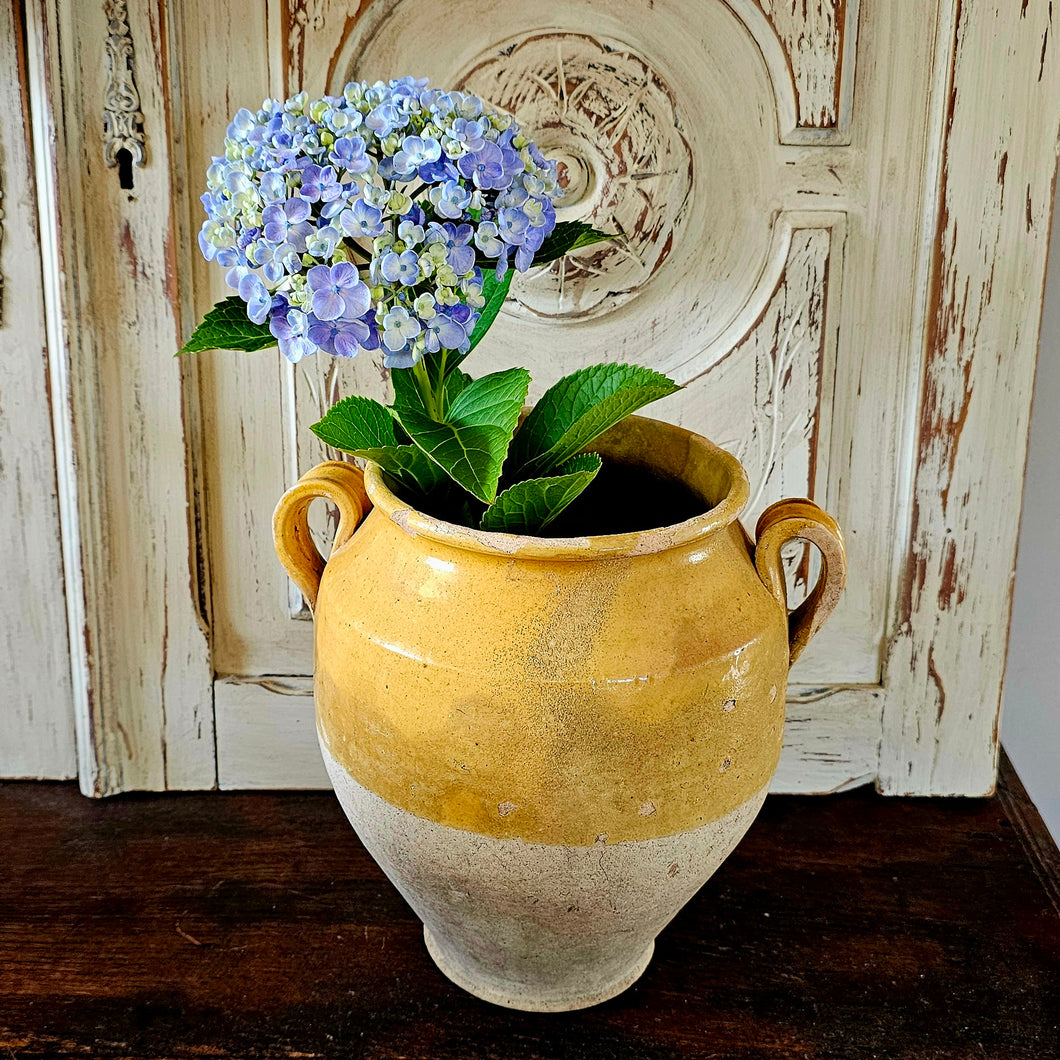 Antique confit pot (2)