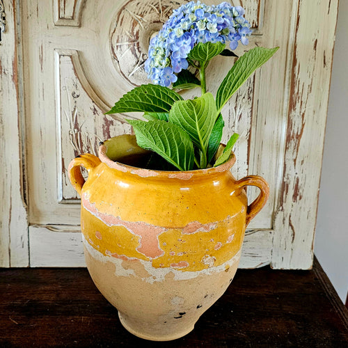 Antique confit pot (1)