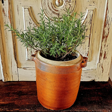 Antique confit pot
