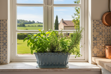 Cast iron jardiniere