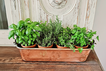 Antique copper poissoniere