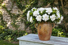 French confit pot