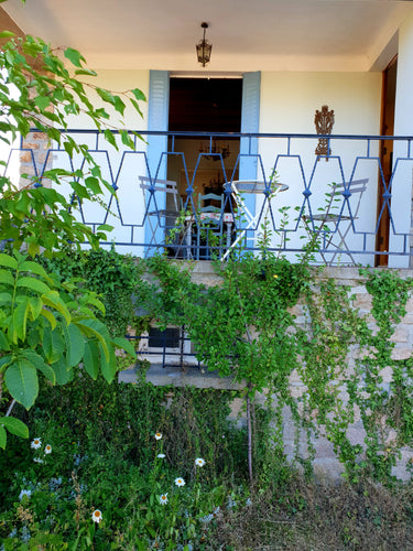 Our French house