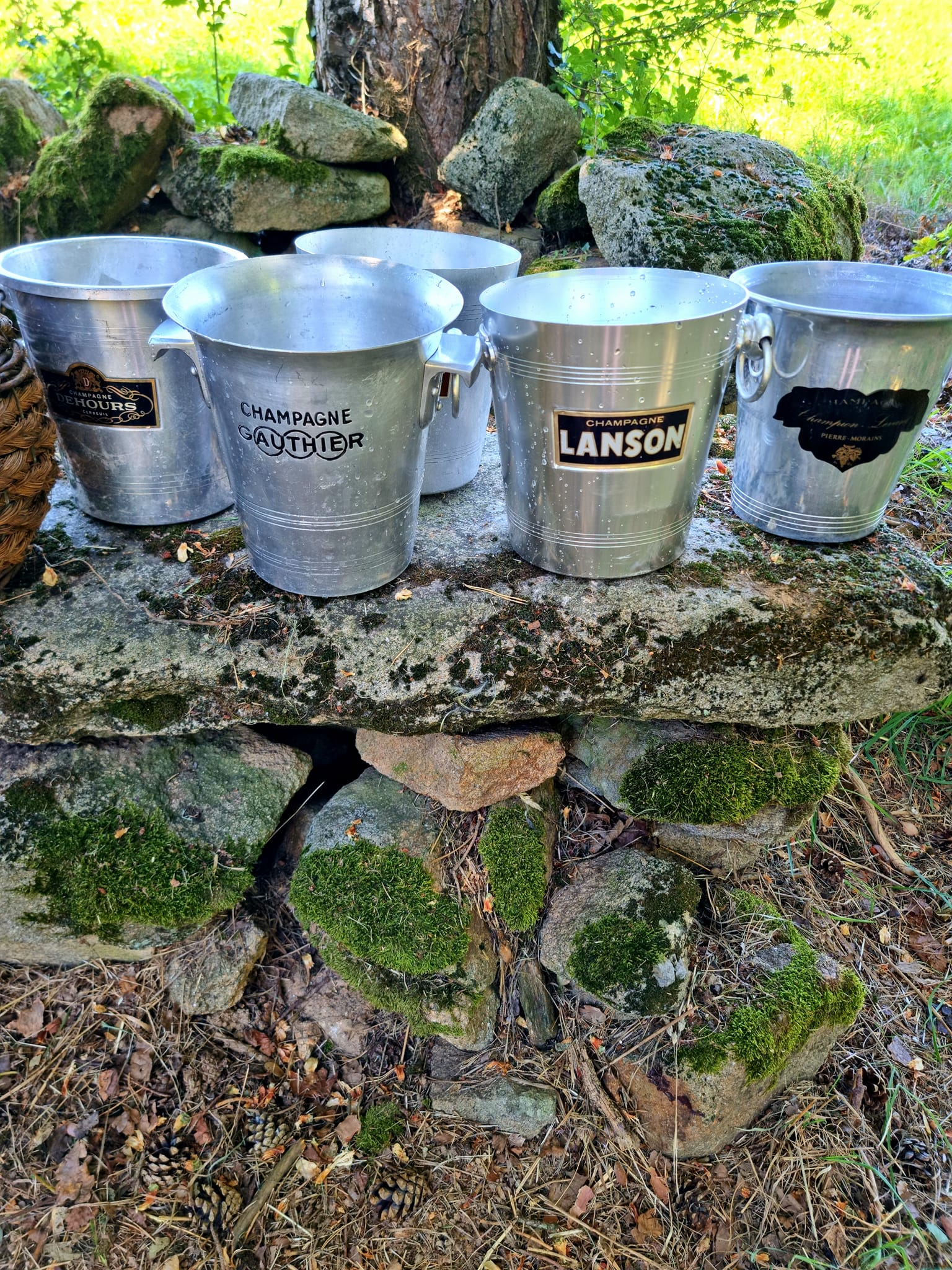 French Champagne buckets